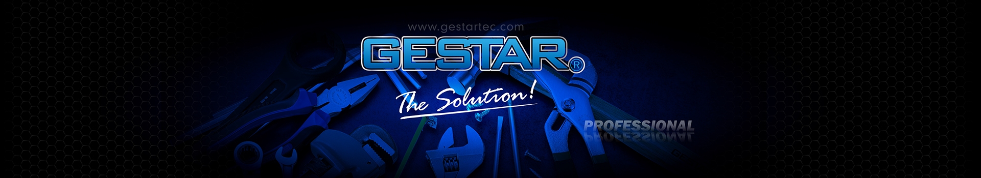 GESTAR PROFESSIONAL TOOL