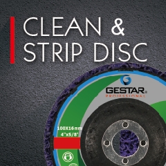 Clean & Strip Disc